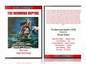 Bermuda Depths
