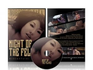 Night of the Felines